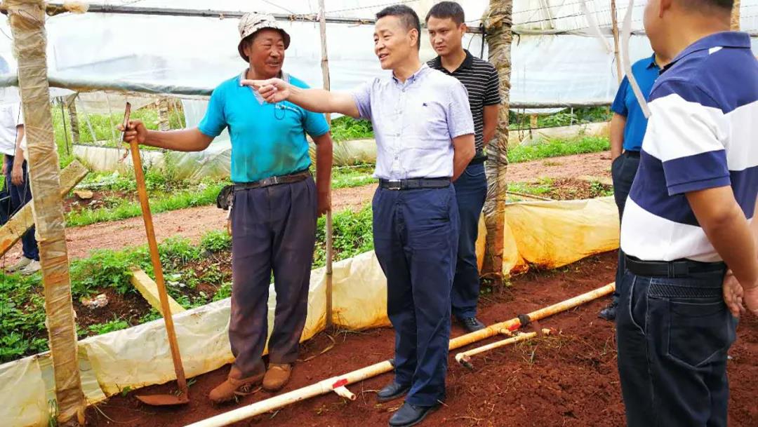 首页- 尊龙集团中国官网入口