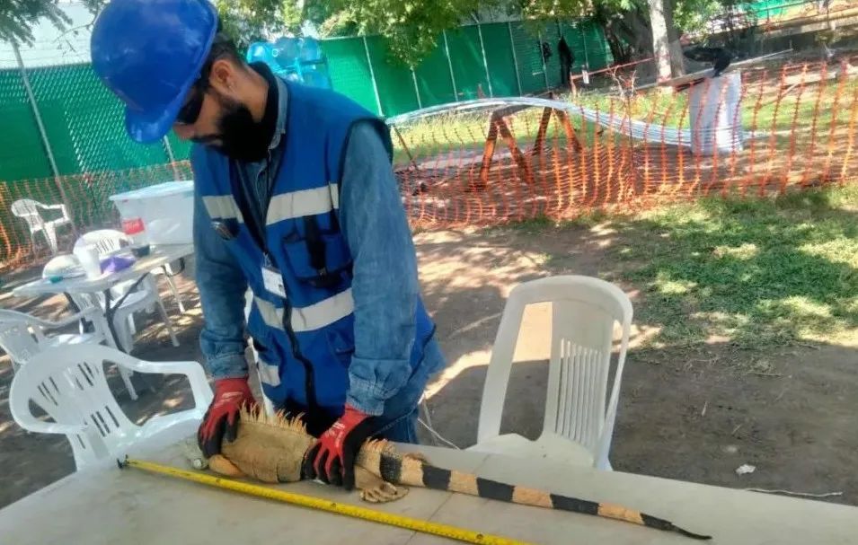 首页- 尊龙集团中国官网入口