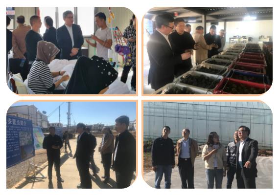 首页- 尊龙集团中国官网入口