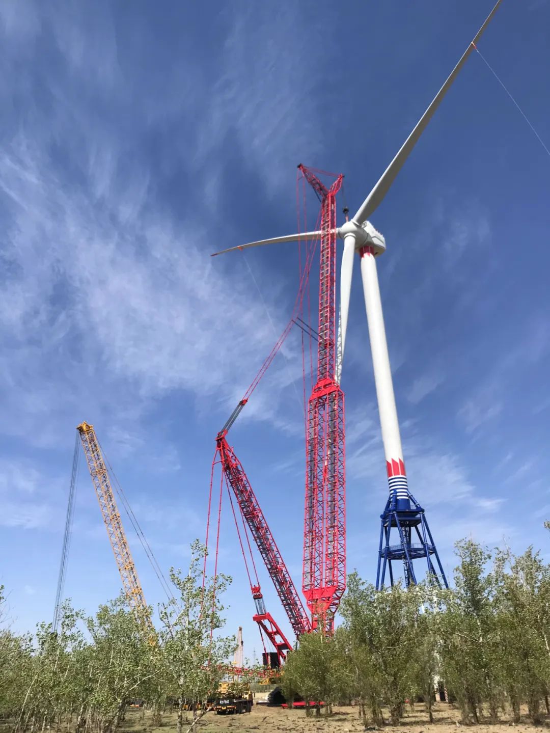 首页- 尊龙集团中国官网入口