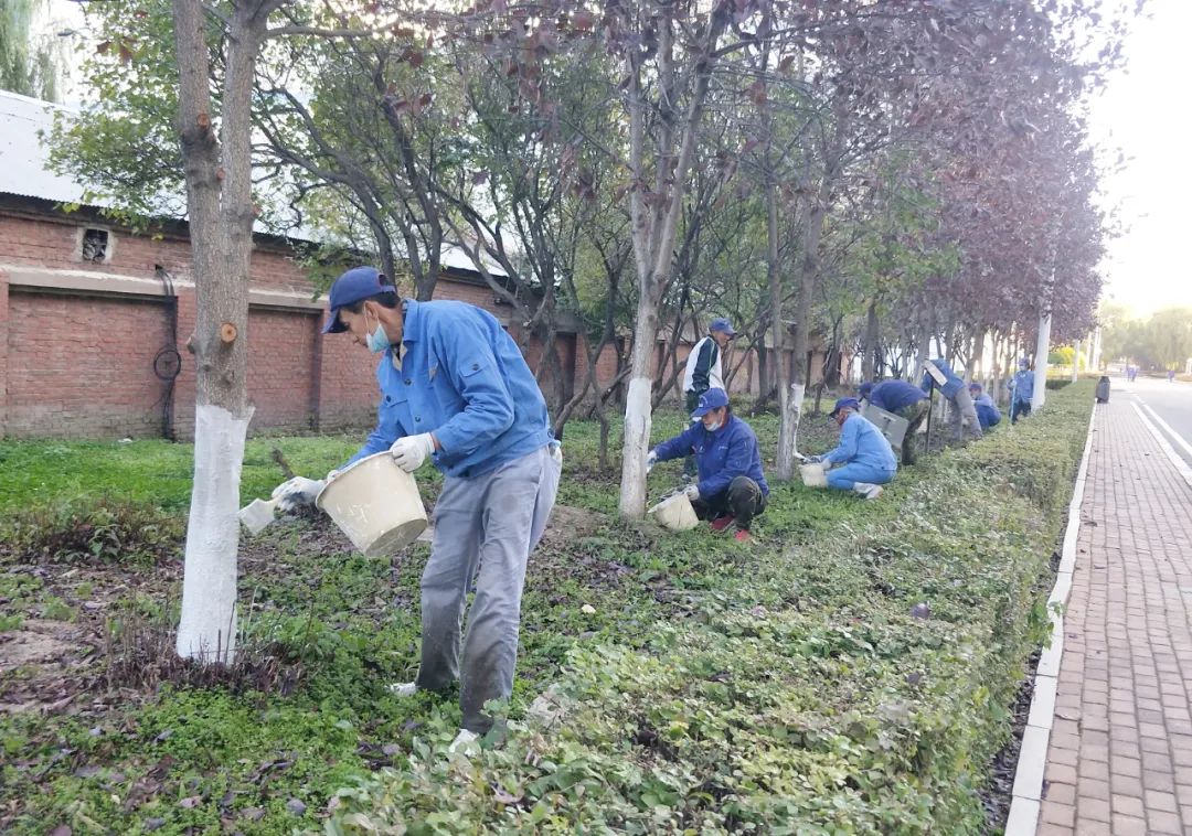 首页- 尊龙集团中国官网入口