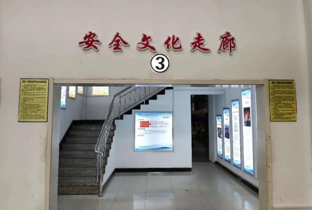 首页- 尊龙集团中国官网入口