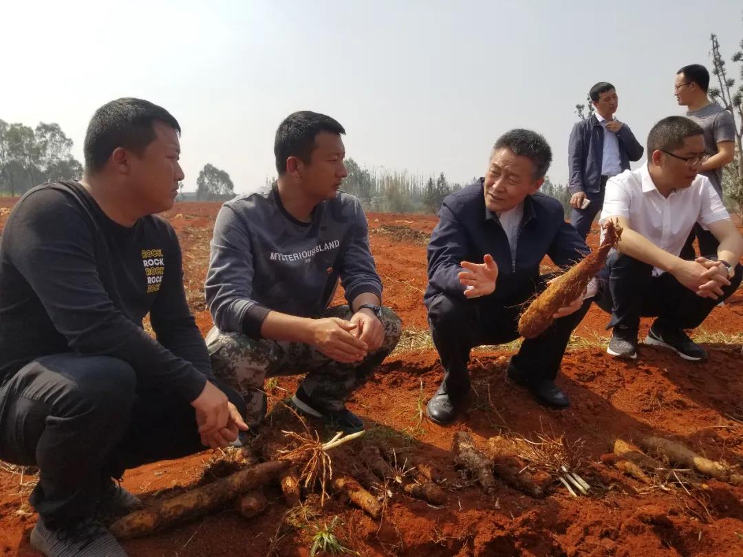 首页- 尊龙集团中国官网入口