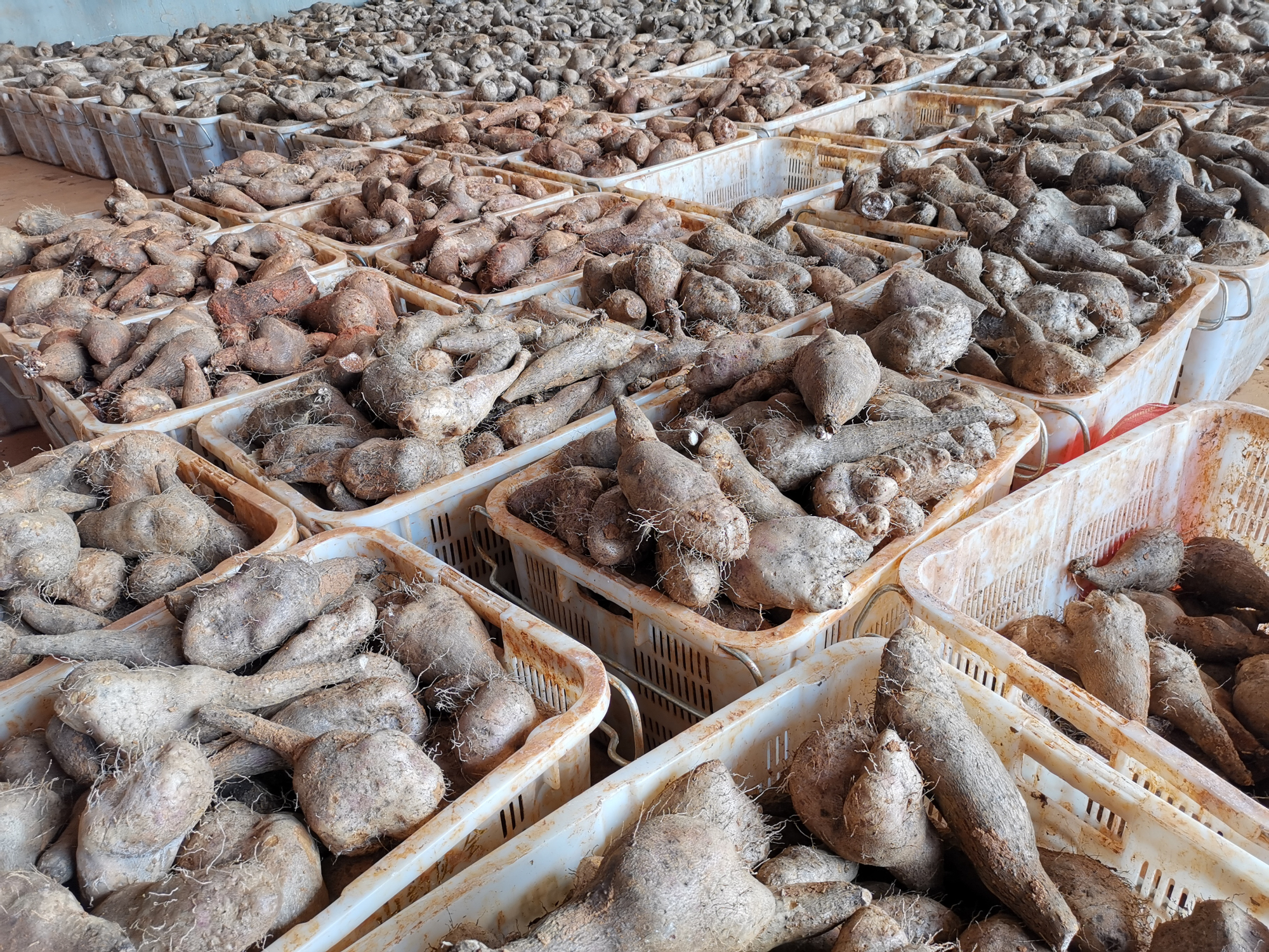 首页- 尊龙集团中国官网入口