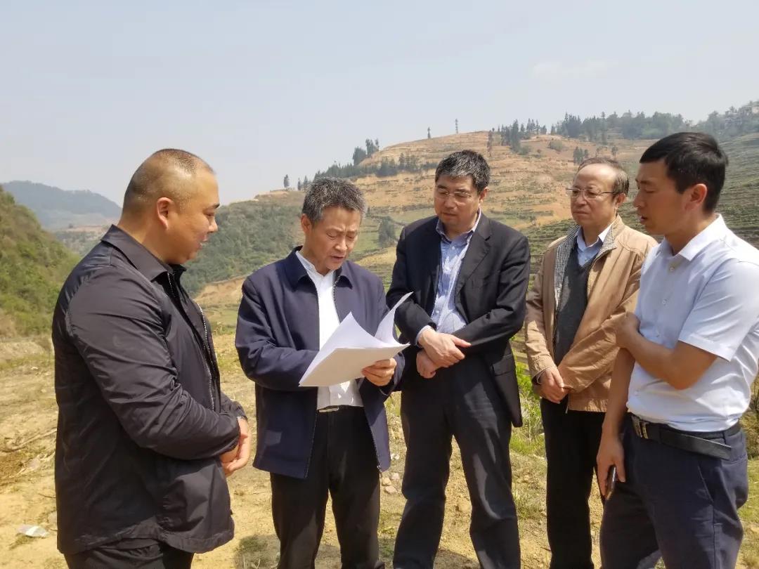 首页- 尊龙集团中国官网入口